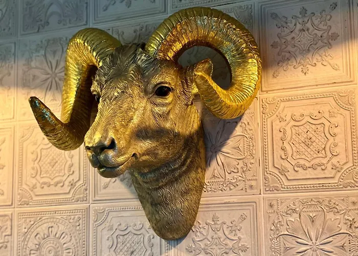 Crusoe * 자코파네